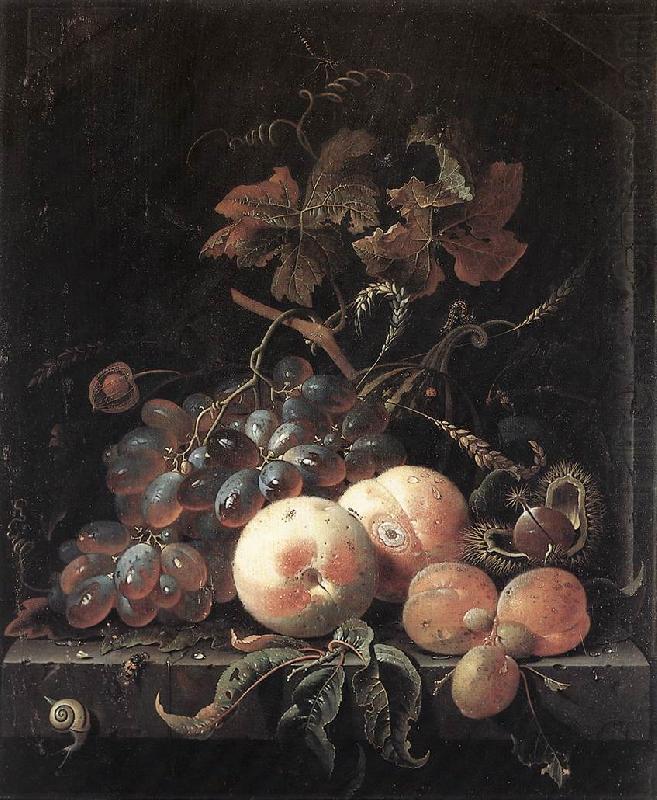 MIGNON, Abraham Still-Life with Fruits sg china oil painting image